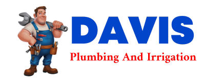 Trusted plumber in BEELER